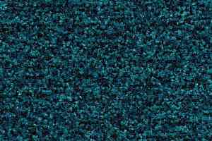 Грязезащитные покрытия Forbo Coral Brush 5705 Bondi blue фото  | FLOORDEALER